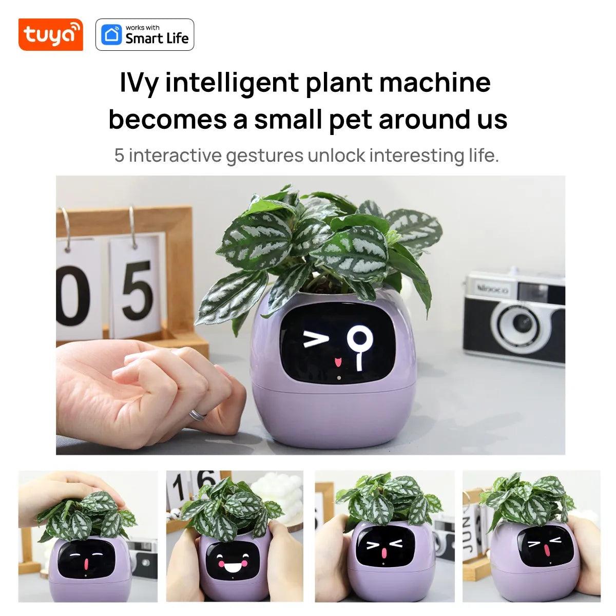 Luniton Smart Planter Tuya - Luniton