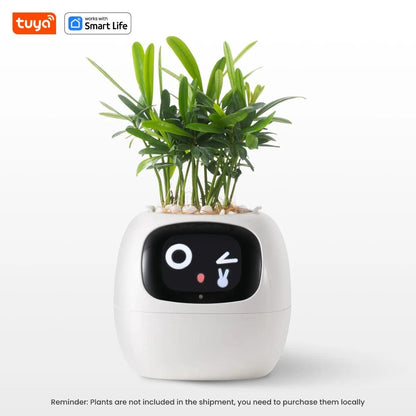 Luniton Smart Planter Tuya - Luniton