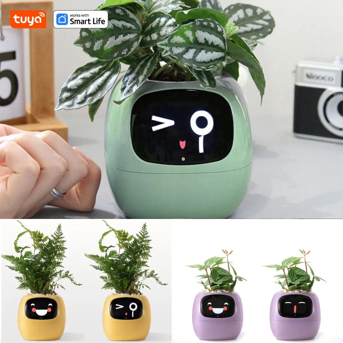 Luniton Smart Planter Tuya - Luniton